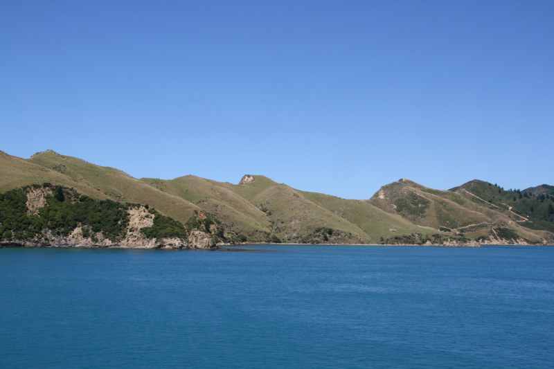 Nieuw-Zeeland 2011 - 0932